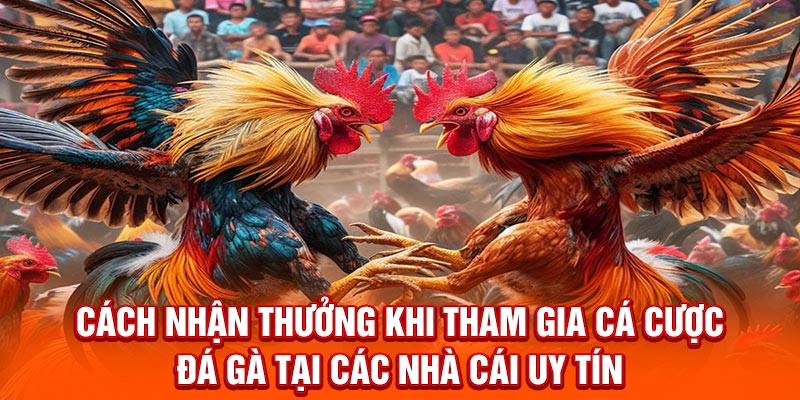 Top Đá Gà Thưởng Tới 8888K - Bật Mí Top Nhà Cái Tặng Ưu Đãi Cách nhận thưởng khi tham gia cá cược đá gà tại các nhà cái uy tín