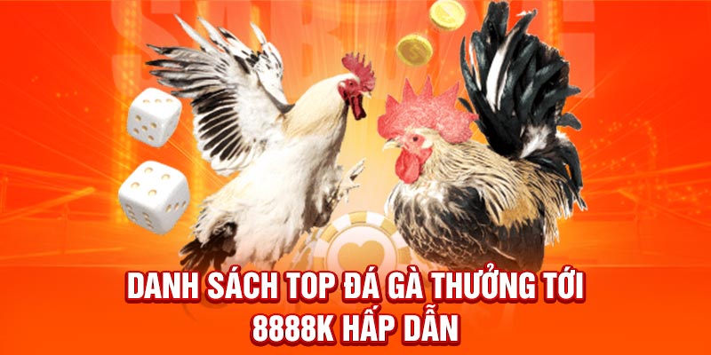 Top Đá Gà Thưởng Tới 8888K - Bật Mí Top Nhà Cái Tặng Ưu Đãi Danh sách Top đá gà thưởng tới 8888k hấp dẫn