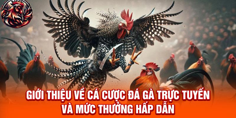 Top Đá Gà Thưởng Tới 8888K - Bật Mí Top Nhà Cái Tặng Ưu Đãi Giới thiệu về cá cược đá gà trực tuyến và mức thưởng hấp dẫn